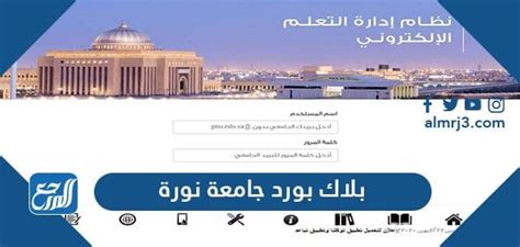 blackboard pnu|تسجيل الدخول .